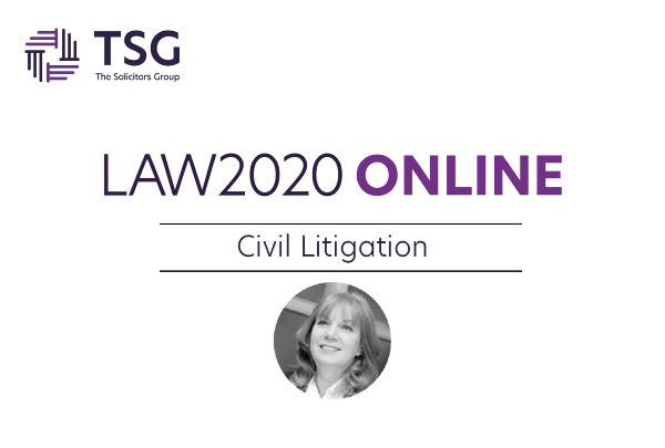 LAW2020 Online Civil Litigation 600