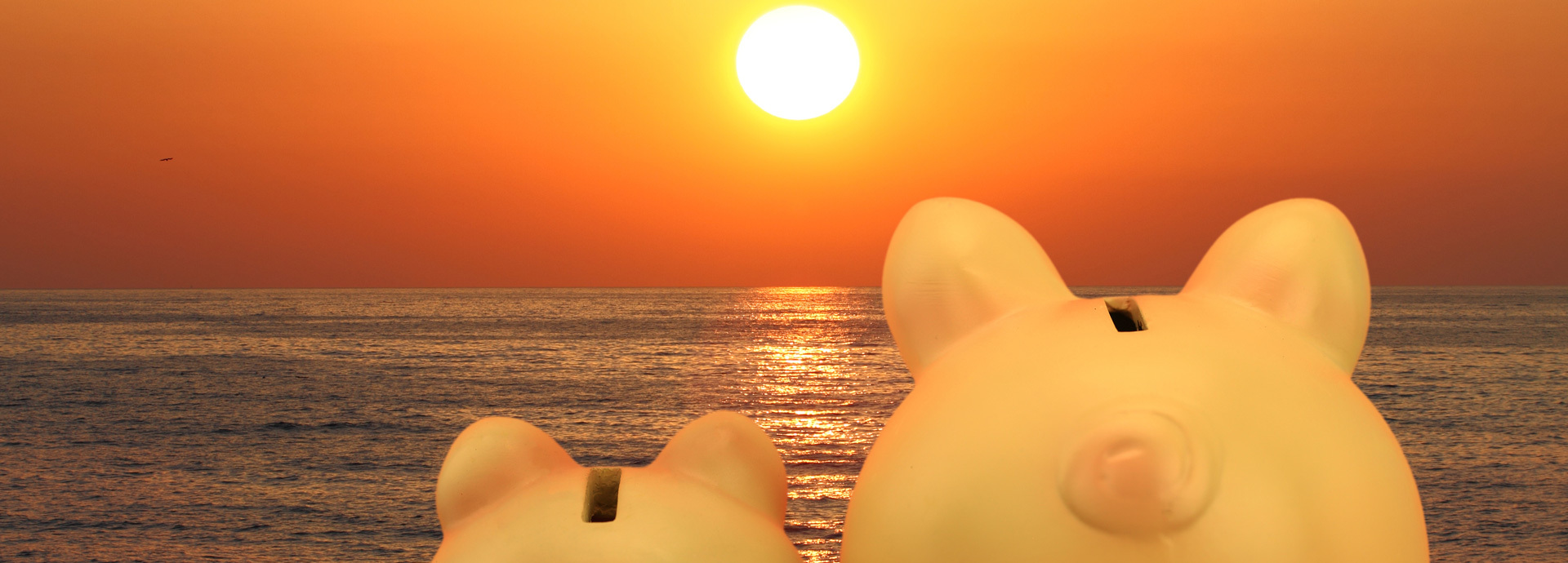 Pigs looking at sun 1920