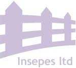 Insepes logo