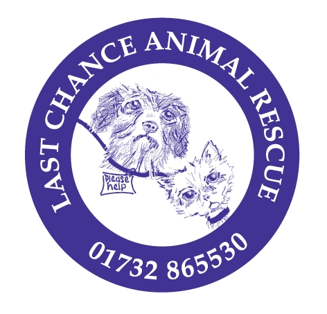 Last Chance TAG