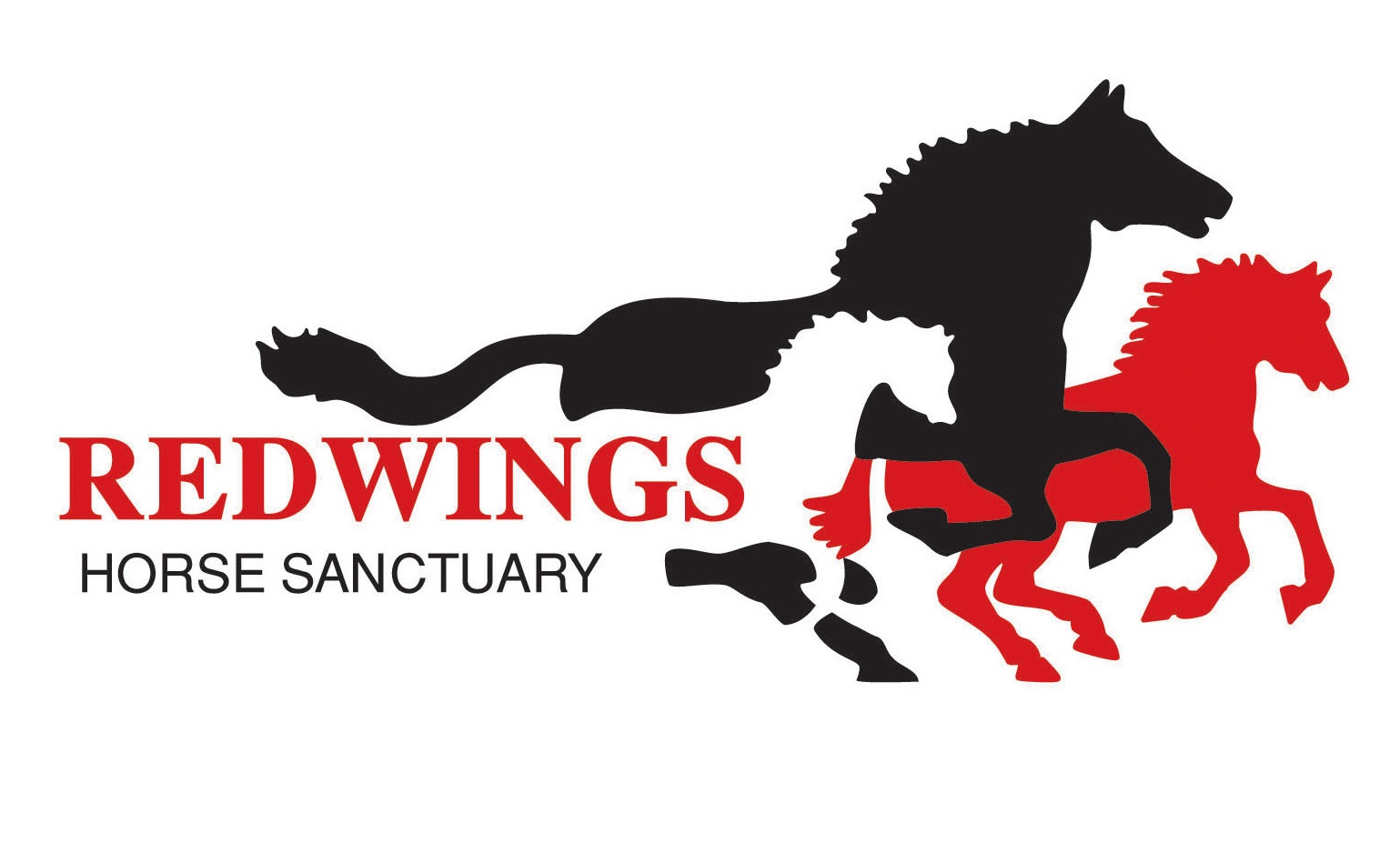 New Redwings logo Black Red 300dpi